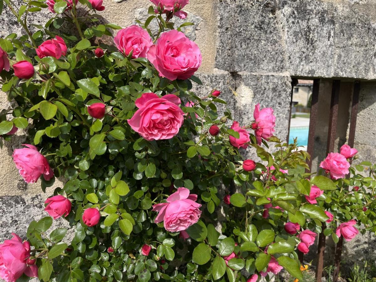 Chateau Canteloup Bed and Breakfast Saint-Caprais-de-Bordeaux Exterior foto